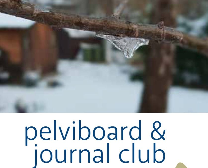 Journal Club et Pelviboard, fevrier 2020