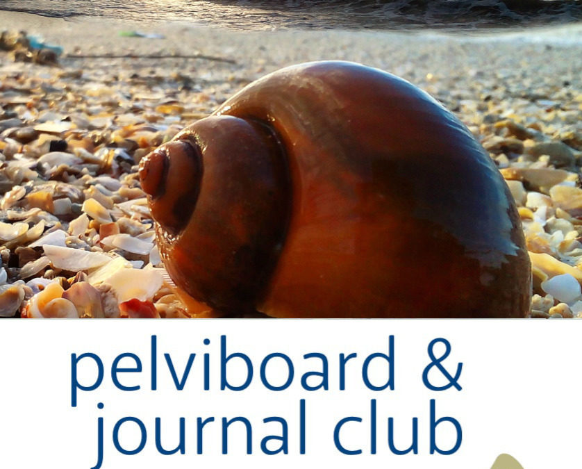 Journal Club et Pelviboard, juin 2021