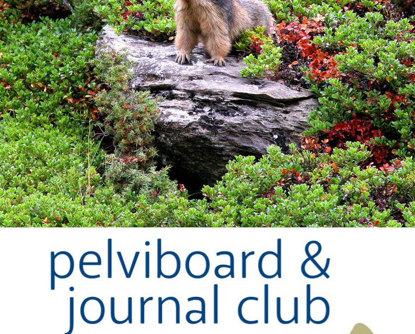 Journal Club et Pelviboard, mars 2022