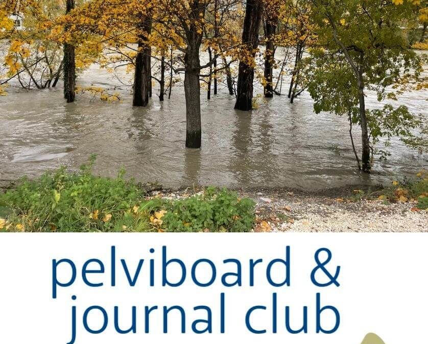 Journal Club et Pelviboard, décembre 2023
